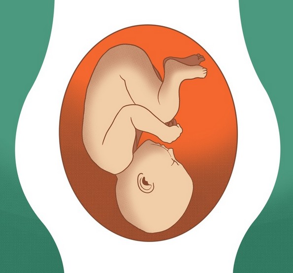 Што значат разните положби на бебето за време на бременоста?