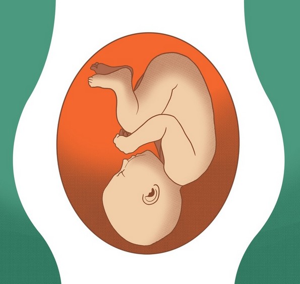 Што значат разните положби на бебето за време на бременоста?