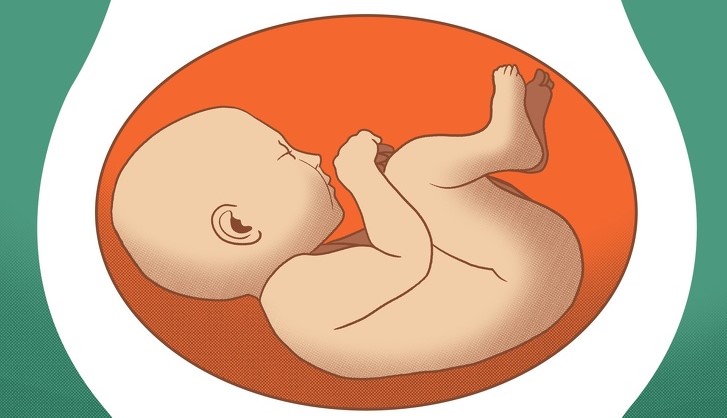 Што значат разните положби на бебето за време на бременоста?