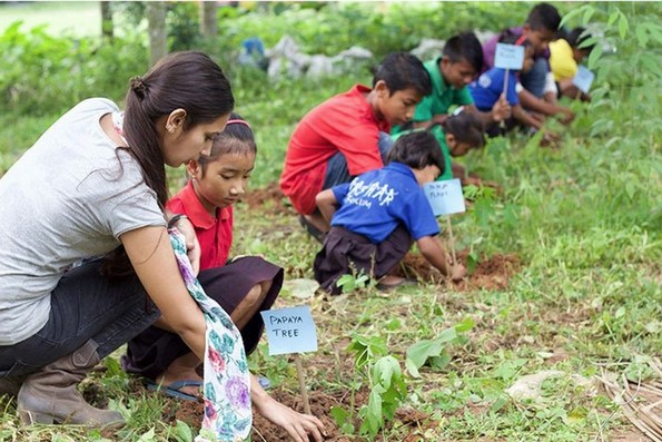 Средношколците на Филипините мораат да засадат по 10 дрвја пред матурирање