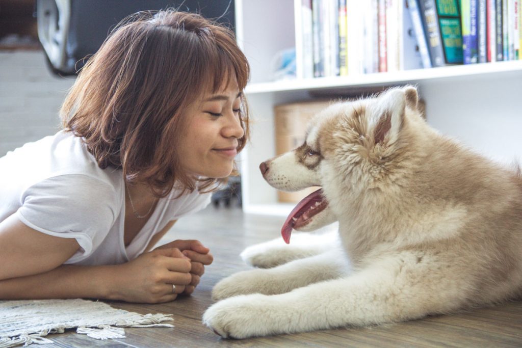 5 причини зошто вашето милениче ве прави среќни и здрави