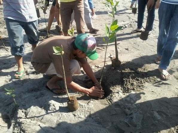 Средношколците на Филипините мораат да засадат по 10 дрвја пред матурирање