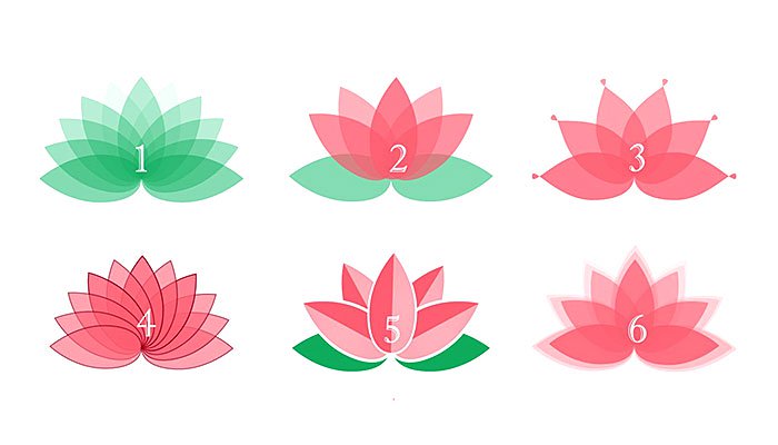 Одберете лотос и прочитајте го советот што ви е потребен во сегашната ситуација