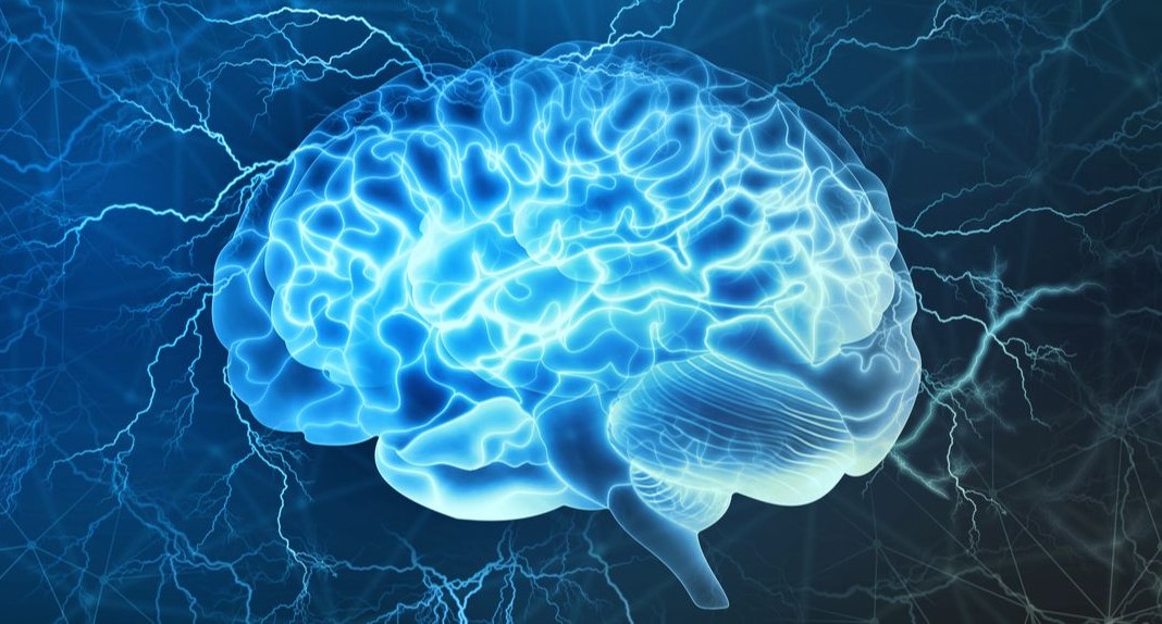 Тест: Дали вашиот мозок е постар или помлад од вашето тело?