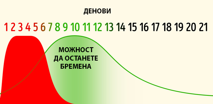 10 факти за менструалниот циклус за кои е докажано дека се митови