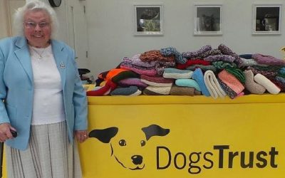 89-годишна баба сплела 450 ќебиња за бездомни кучиња