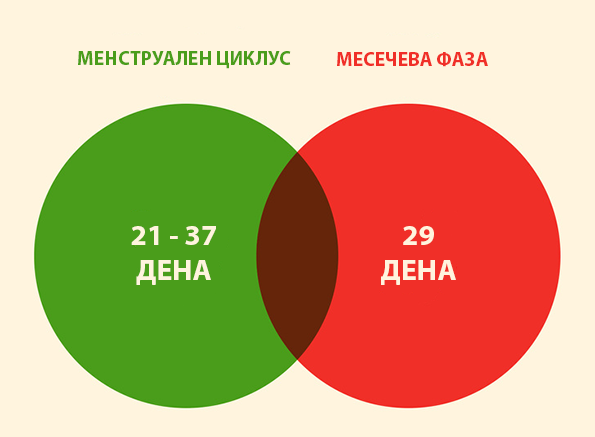 10 факти за менструалниот циклус за кои е докажано дека се митови