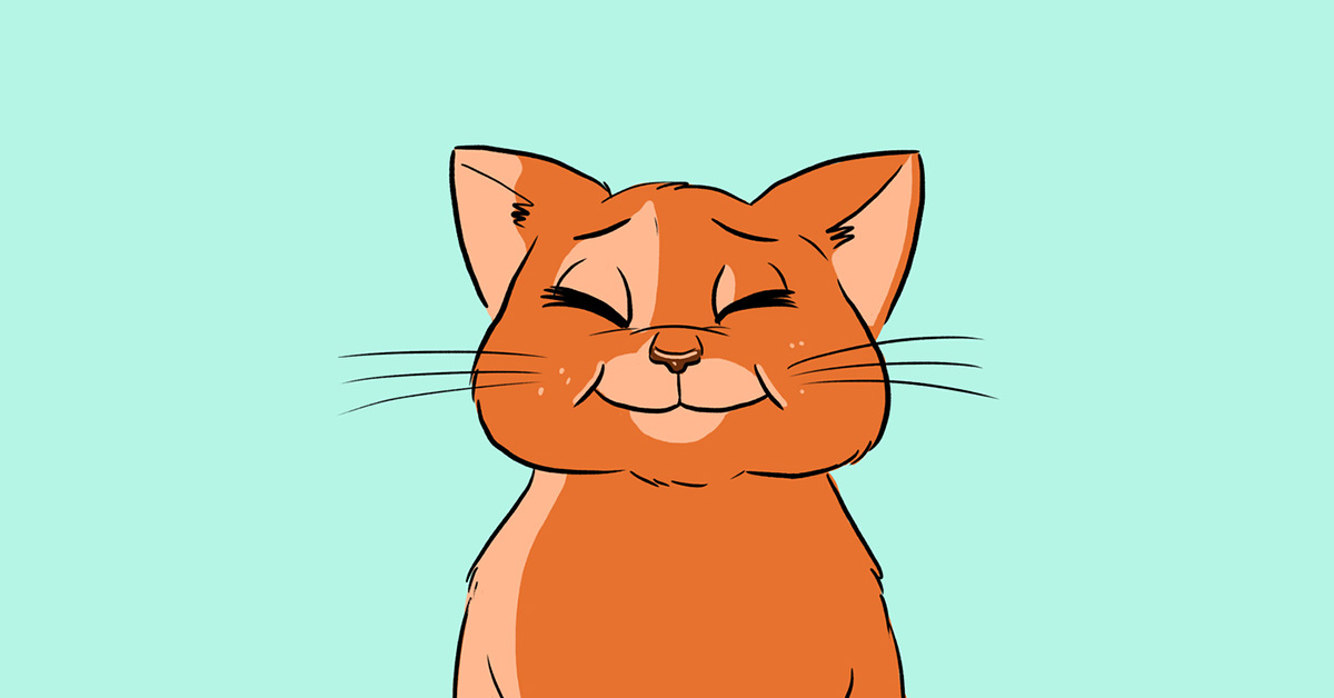 13 начини со кои вашата мачка покажува дека ве сака