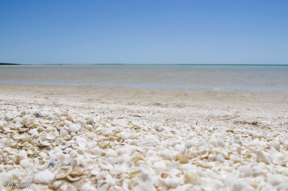 11 плажи што ќе ги привлечат сите што бараат мир и кристално чиста вода