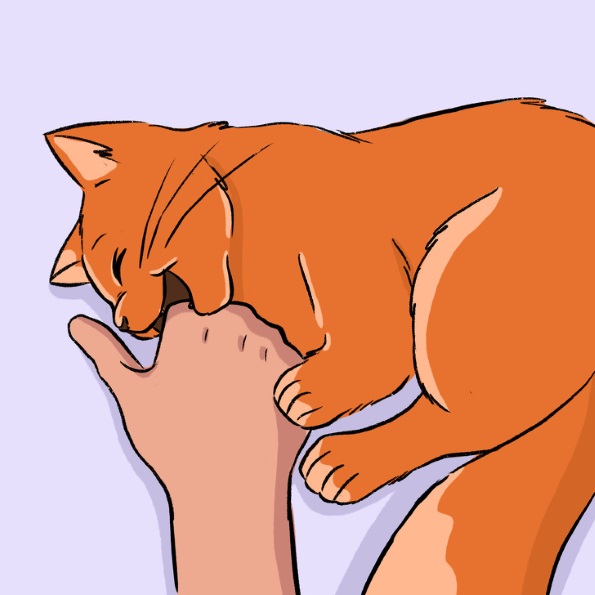 13 начини со кои вашата мачка покажува дека ве сака