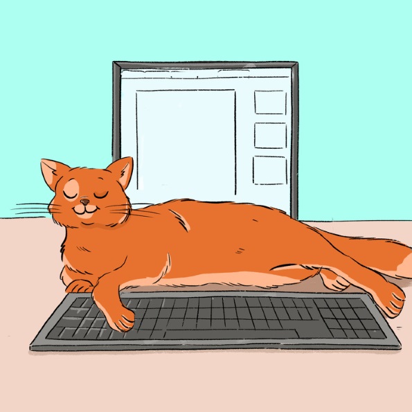 13 начини со кои вашата мачка покажува дека ве сака