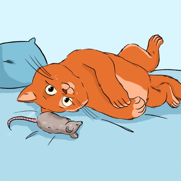 13 начини со кои вашата мачка покажува дека ве сака