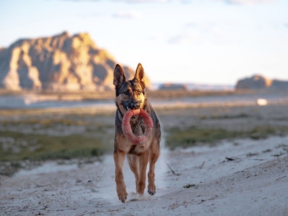 Фотографи преку нивните фотографии се обиделе да прикажат што значи среќата ширум светот