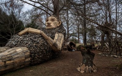 Фасцинантни дрвени џинови во Белгиската шума