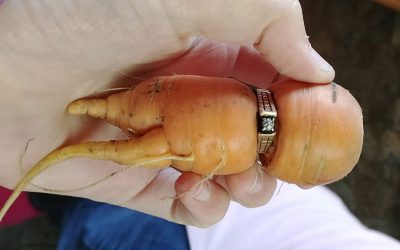 Жена после 13 години го пронашла својот изгубен веренички прстен во нејзината градина