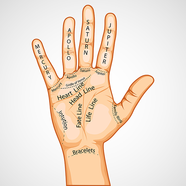 3 начини на кои вашите дланки ви го откриваат начинот на кој ќе умрете