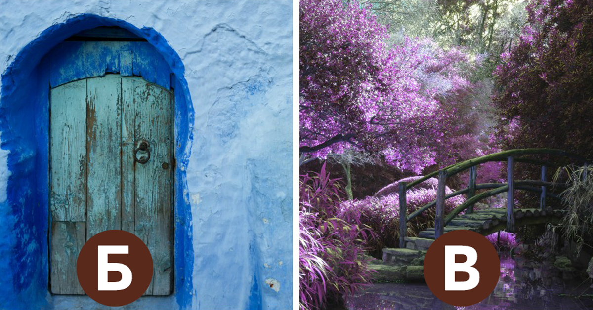 Фотографијата којашто најмногу ве привлекува ќе ви открие порака од вашиот ангел