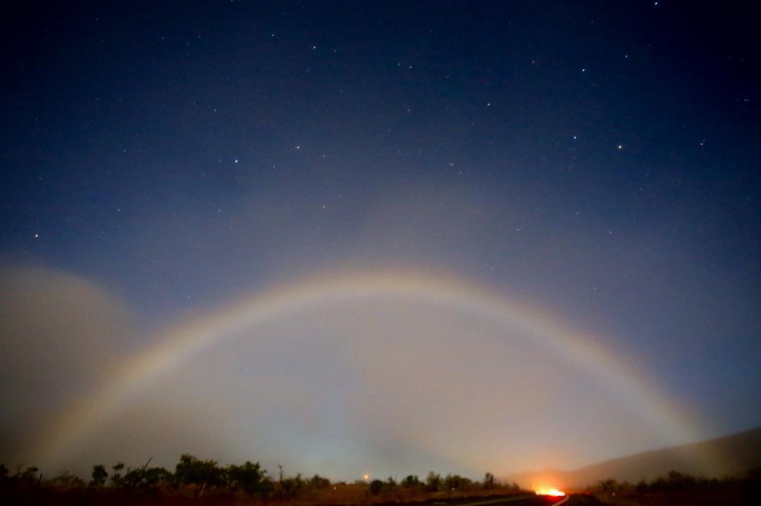 Изненадувачки факти за обични нешта поради кои ќе се почувствувате како да сте од друга планета