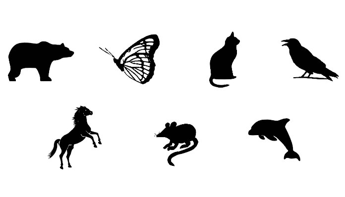 Магичен тест: Во кое животно би сакале да се претворите?