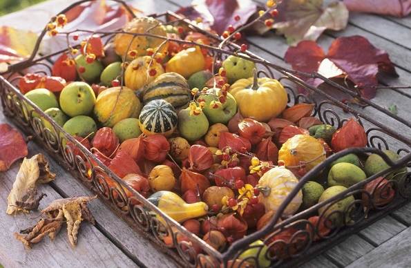 Евтини есенски декорации кои ќе го разубават вашиот дом