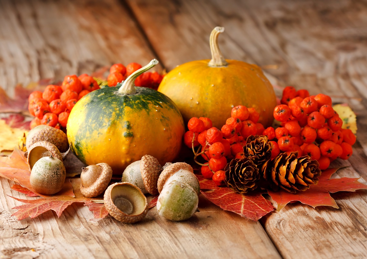 Евтини есенски декорации кои ќе го разубават вашиот дом