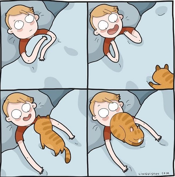 Илустрации во кои ќе се пронајде секој кој има мачка