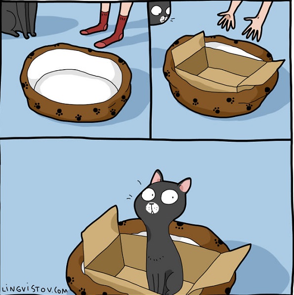 Илустрации во кои ќе се пронајде секој кој има мачка