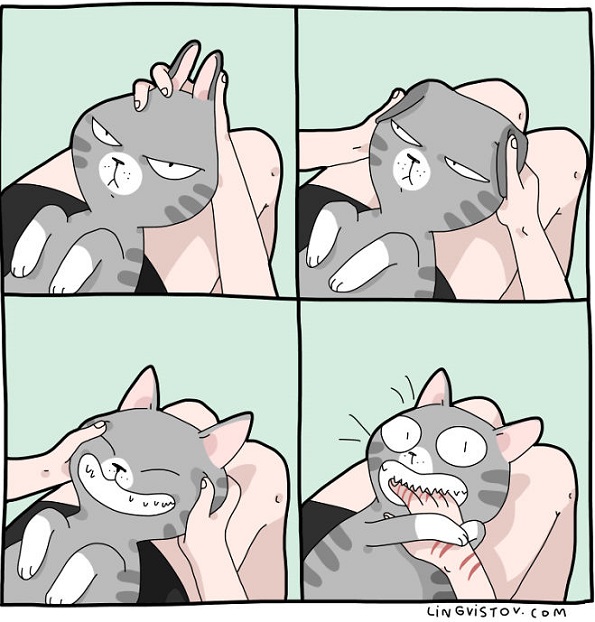 Илустрации во кои ќе се пронајде секој кој има мачка