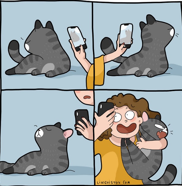 Илустрации во кои ќе се пронајде секој кој има мачка