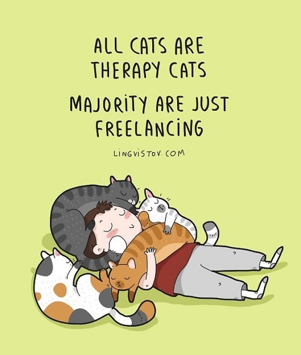 Илустрации во кои ќе се пронајде секој кој има мачка