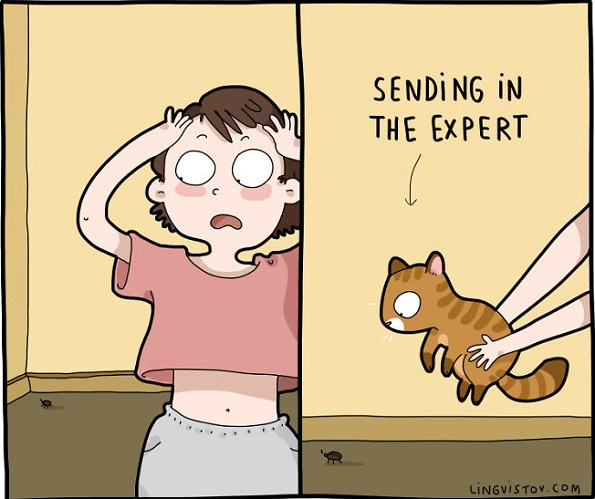 Илустрации во кои ќе се пронајде секој кој има мачка