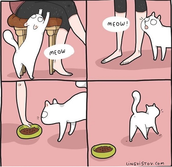 Илустрации во кои ќе се пронајде секој кој има мачка