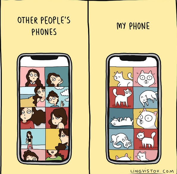 Илустрации во кои ќе се пронајде секој кој има мачка