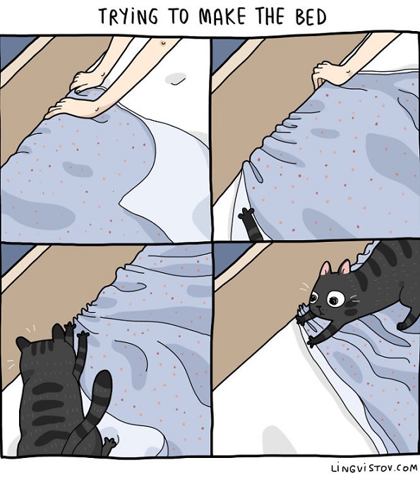 Илустрации во кои ќе се пронајде секој кој има мачка