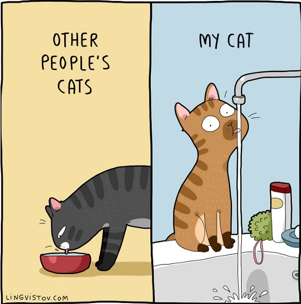 Илустрации во кои ќе се пронајде секој кој има мачка
