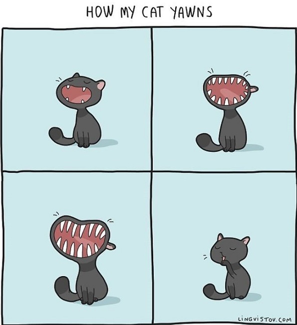 Илустрации во кои ќе се пронајде секој кој има мачка