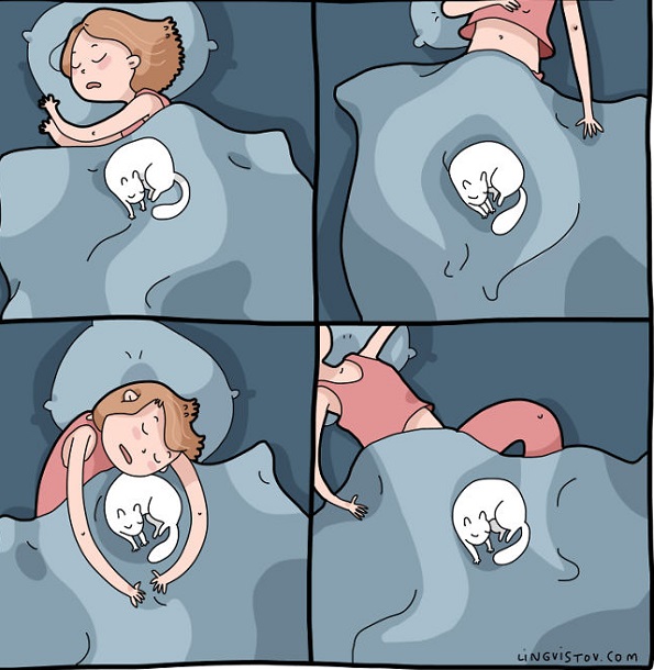 Илустрации во кои ќе се пронајде секој кој има мачка