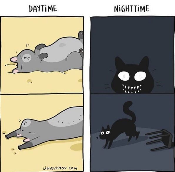 Илустрации во кои ќе се пронајде секој кој има мачка