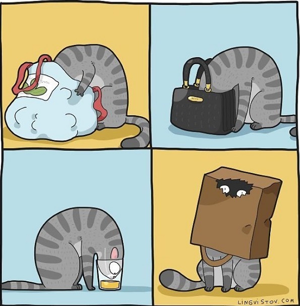 Илустрации во кои ќе се пронајде секој кој има мачка