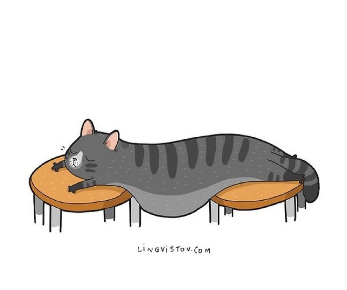 Илустрации во кои ќе се пронајде секој кој има мачка