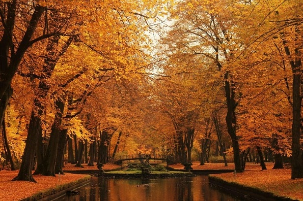 Како изгледа есента низ светот?