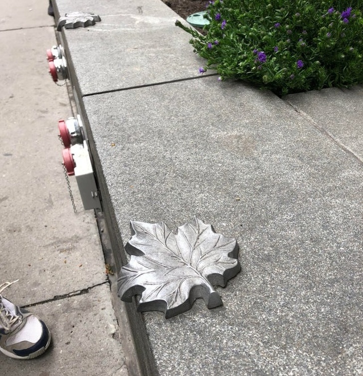 20 предмети дизајнирани од пионери што ќе ве воодушеват