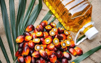 Дали палминото масло е здраво или штетно?
