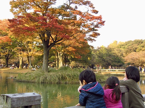 Тринаесетте училишни предмети од различни земји кои би сакале да ги имаат и вашите деца
