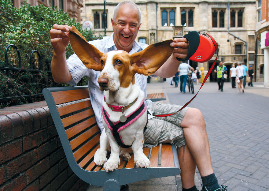 30 фотографии од кучиња направени од уличен фотограф кој е професионалец при фотографирање совршени моменти