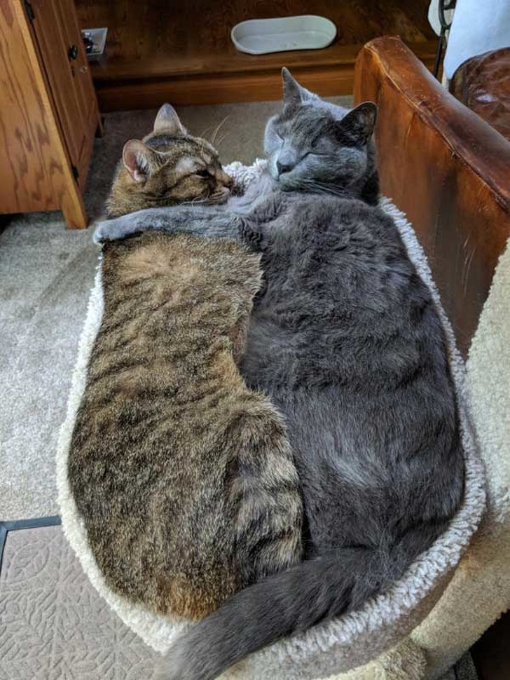 Фотографии што ќе ги задоволат сите перфекционисти