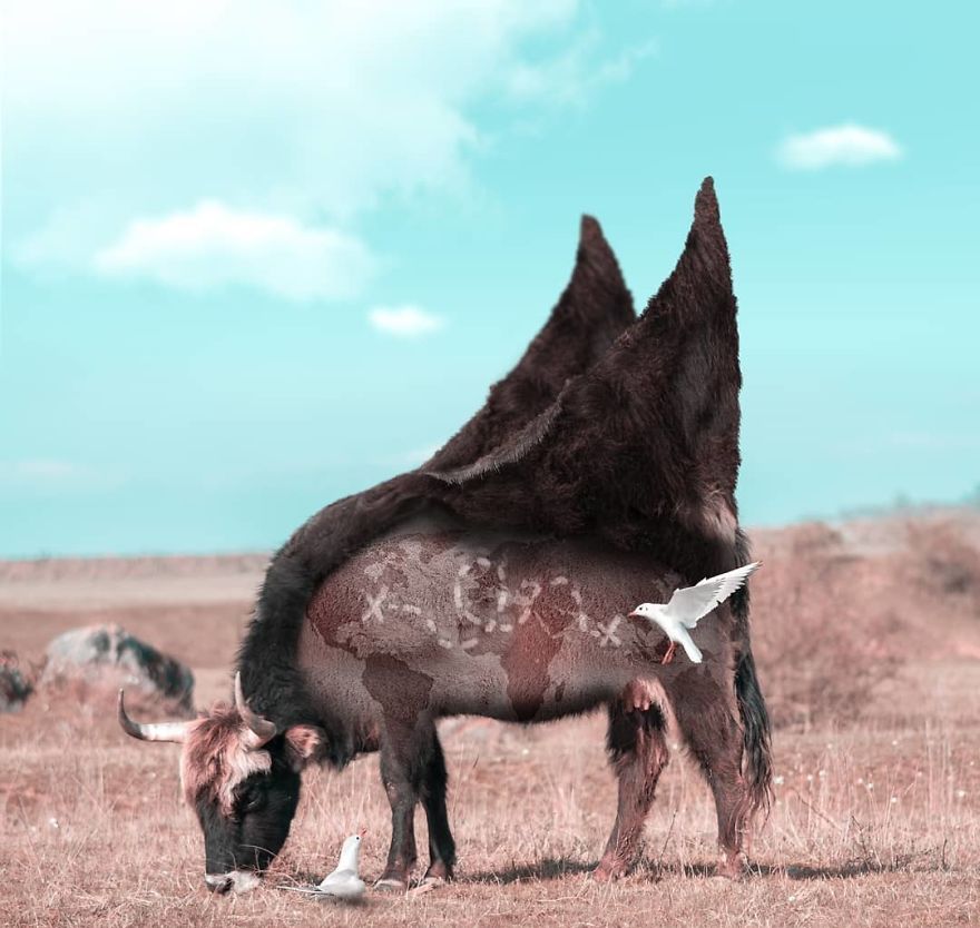 25 редизајнирани фотографии со животни што изгледаат надреално и магично