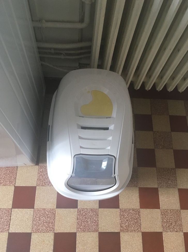 25 фотографии што покажуваат дека мачките се вистински чудовишта