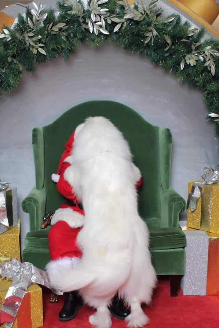 Смешни слики што покажуваат како Дедо Мраз се справува во непредвидливи ситуации