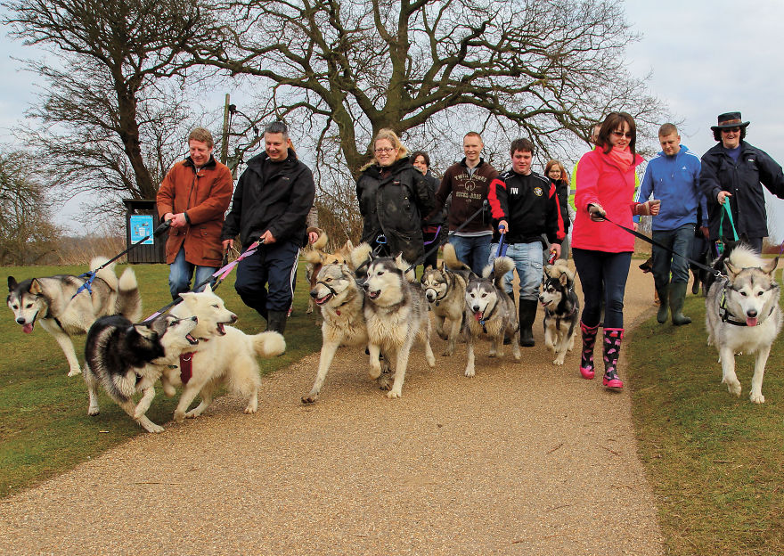 30 фотографии од кучиња направени од уличен фотограф кој е професионалец при фотографирање совршени моменти